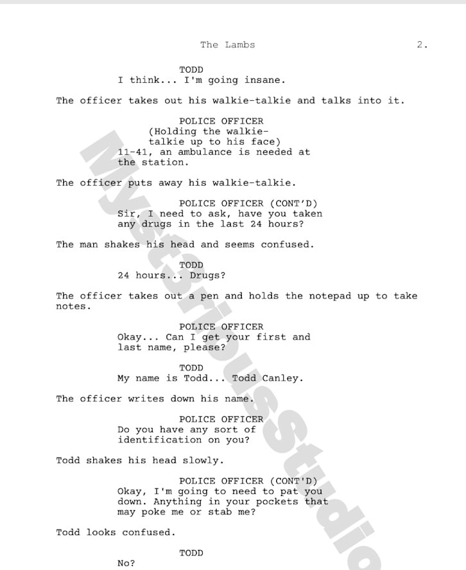 write a professional screenplay for your story