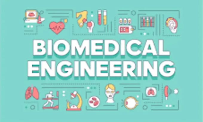 work on biomedical engineering projects, tasks, presentations