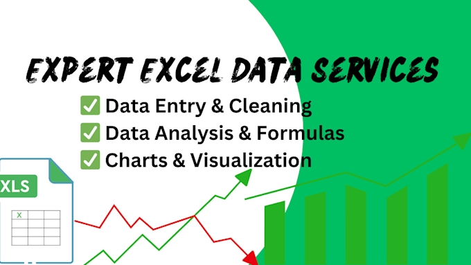 perform data entry, cleaning, analysis, and visualization in excel
