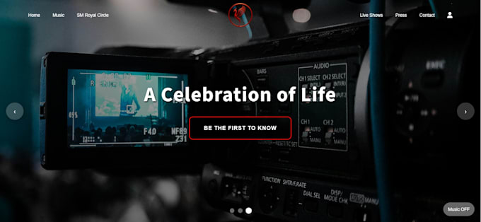 design a modern, immersive custom website for you