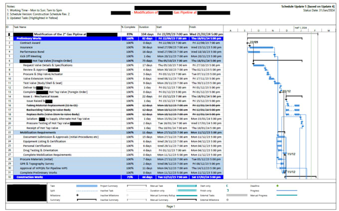 create a professional project schedule