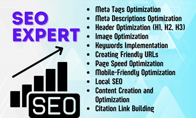seo expert web optimization and positioning