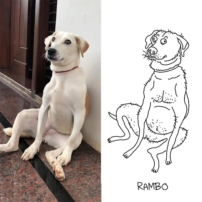 draw custom ugly pet portrait, bad portrait, line drawing