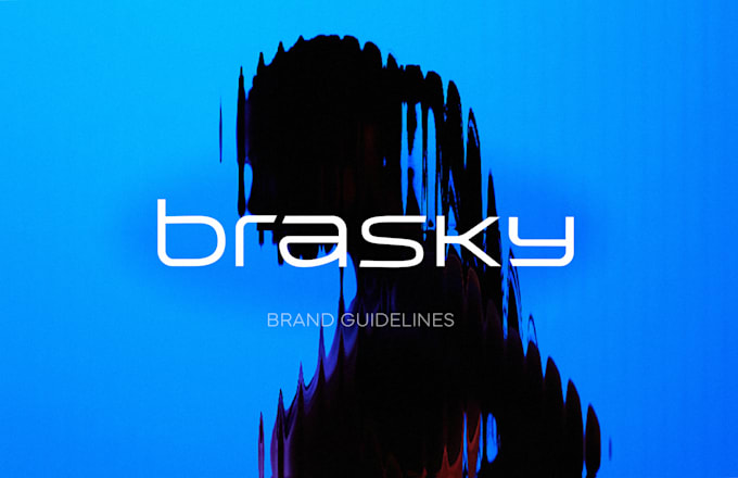 create an expert brand style guide and professional branding