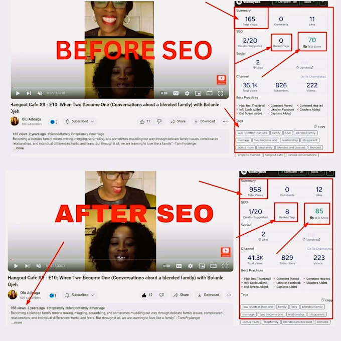 be your youtube seo expert for top rank