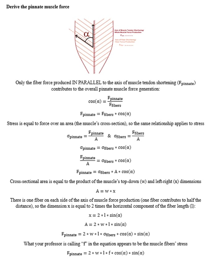 tutor precalculus and trigonometry math to anyone