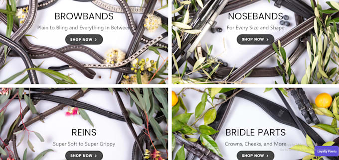 Fix Shopify Bugs Custom Code And Liquid Issues By Developer Jerri