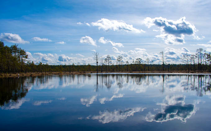 submit your estonian company annual report