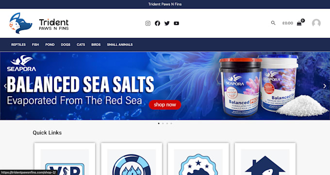 create a fast and SEO friendly wordpress website