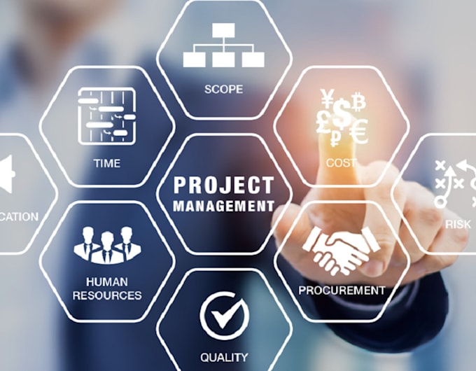 do project planning and project management for you