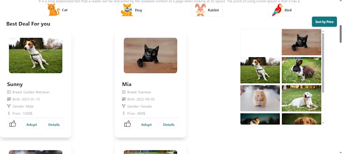 develop a fast and responsive website with tailwind CSS and react