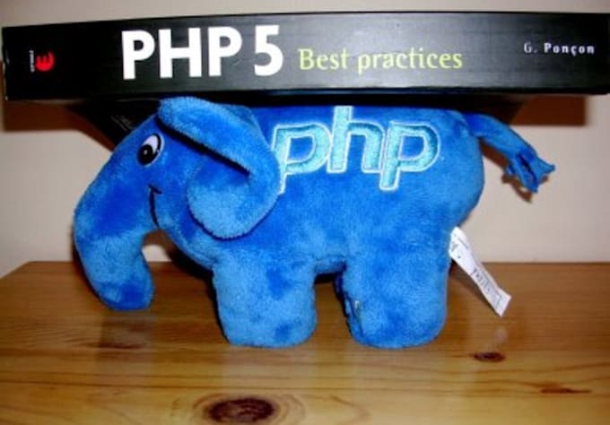 install any script or software for you PHP,Python,Ruby and Perl