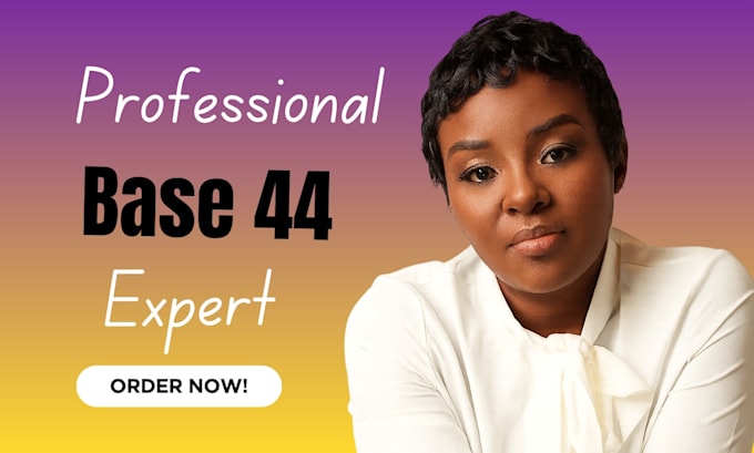 build base 44, base 44 integration, base 44 automation, base 44 web app fix base