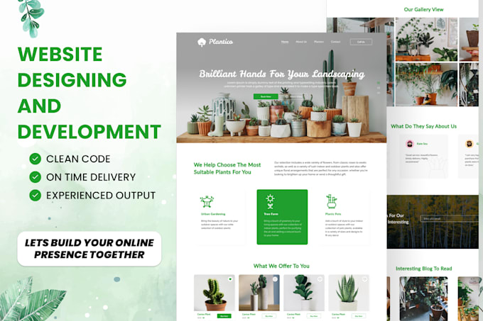 do custom website design and development in just 7 days