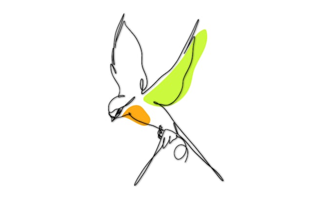 custom line art drawings