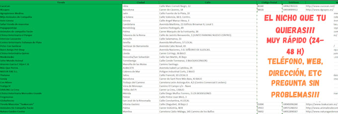 hago bases de datos con empresas en excel, csv, json