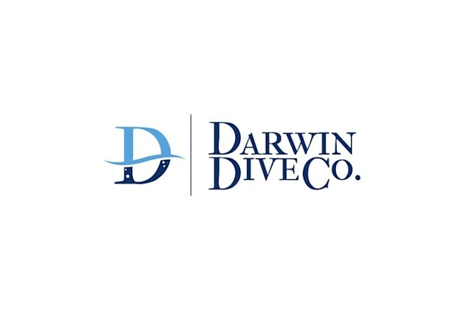 create dynamic diving company logo
