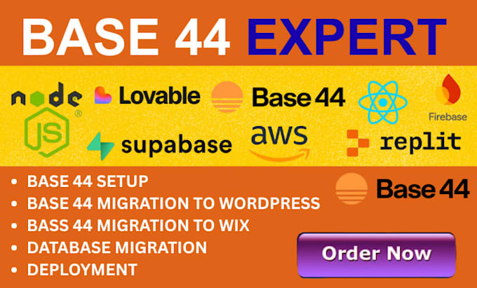 fix base44 bugs migrate base44 to wordpress base44 debugging base44 website