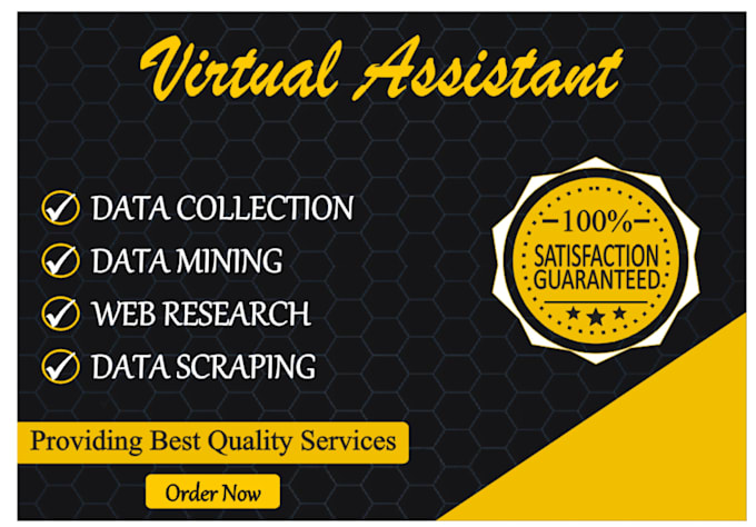 be your virtual assistant for data entry and web research
