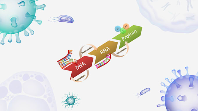 transform your bioinformatics projects or research into real insights