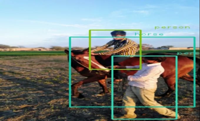 provide object detection, recognition, and tracking services
