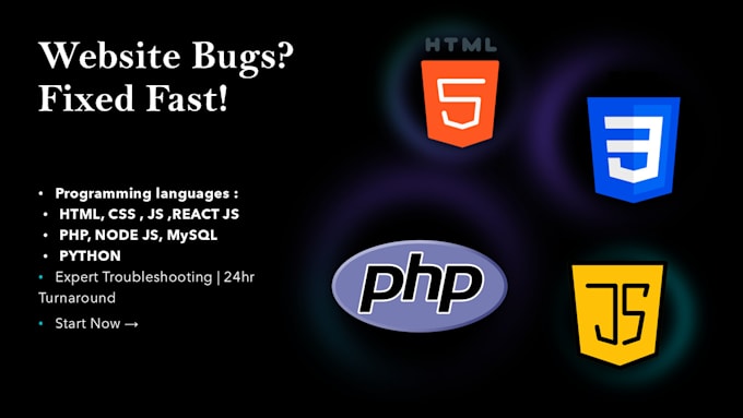 provide professional website debugging and repair service