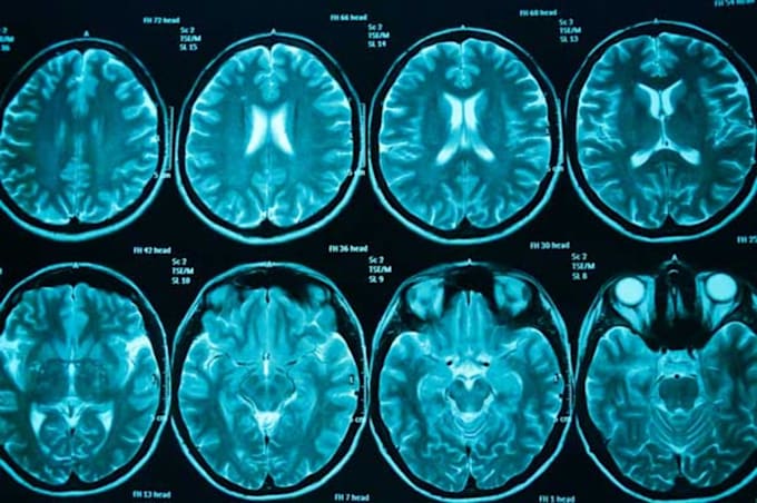 create model machine learning or deep learning using python