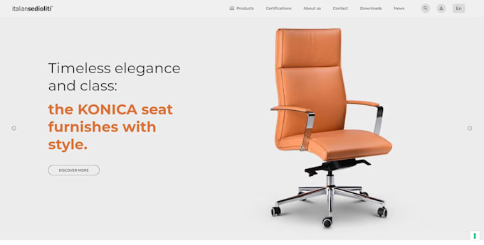 build your professional wordpress website