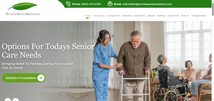 do SEO homecare website elderly care healthcare website assisted living website
