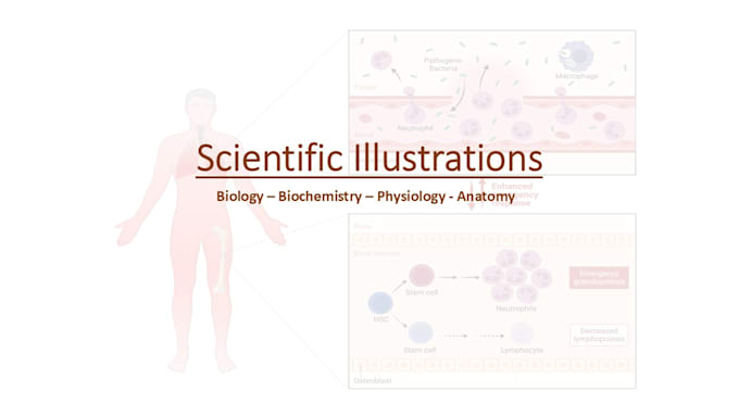 do scientific illustrations and diagrams