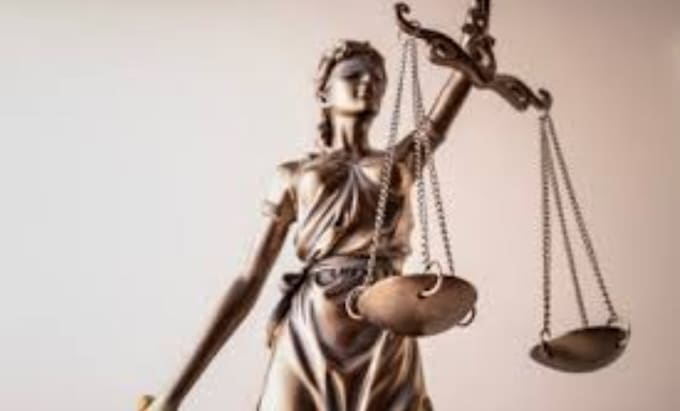 draft documents and research case laws for civil law