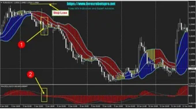 develop automated forex trading strategy for expert advisor, metatrader4,5