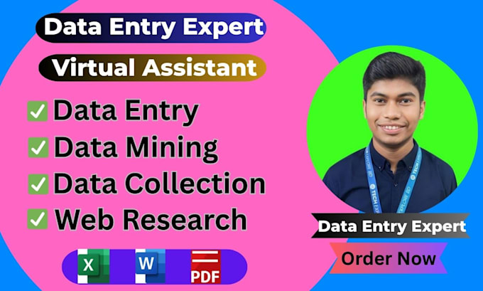 do fast data entry, data mining, data collection, web research