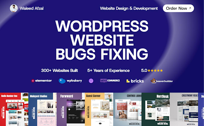 fix your wordpress website bugs and responsive issues