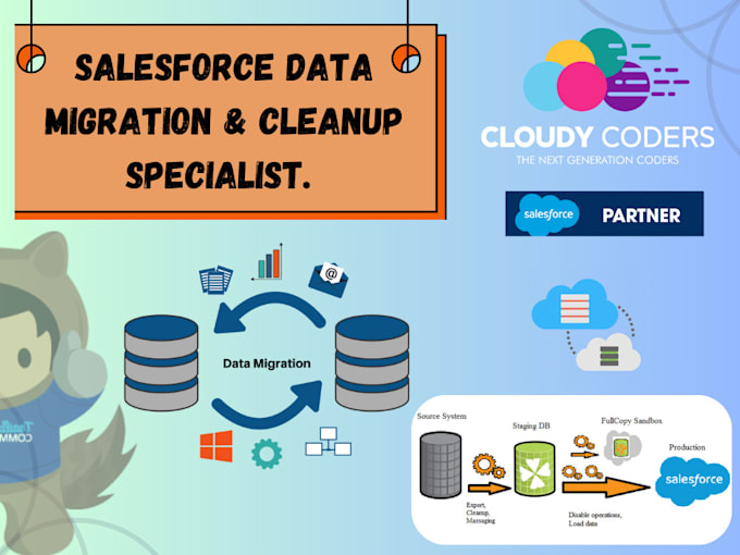 be your salesforce data migration and cleanup specialist