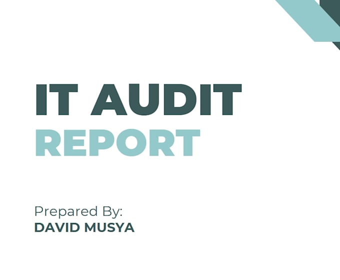 provide information security audits