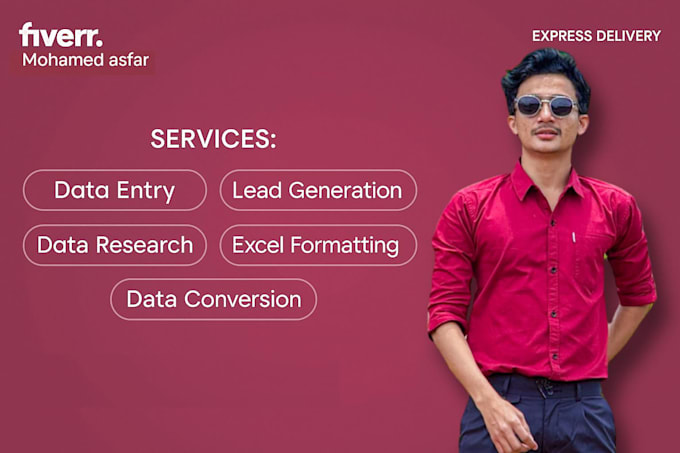 provide professional virtual assistant and data entry services