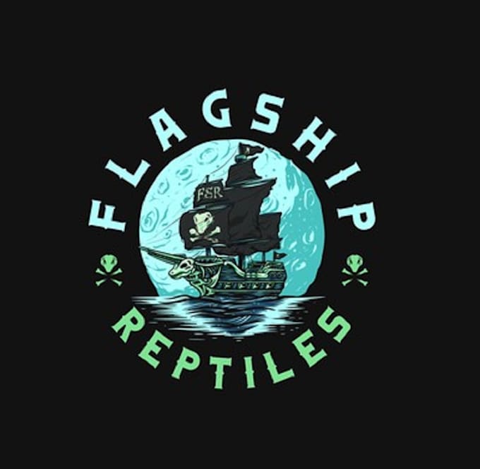 design top quality badass pirateship logo