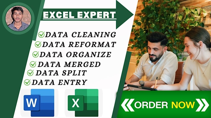 do excel data cleanup, formatting, merge, filter and data entry