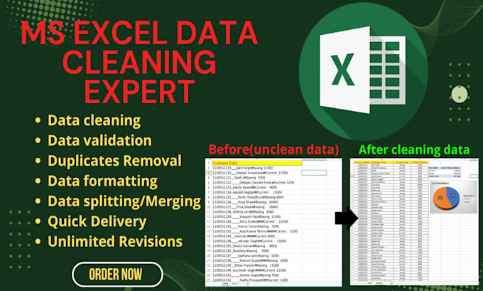 clean, format, and validate excel data professionally