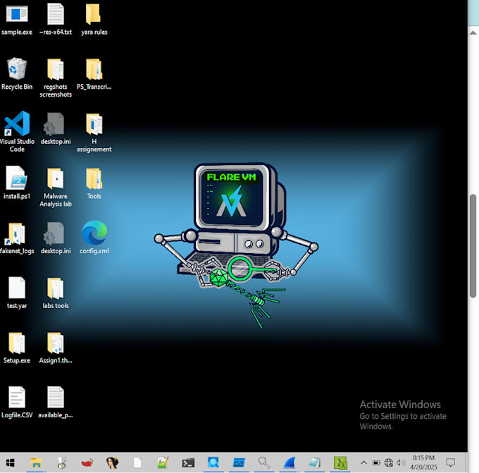 do malware analysis advanced dynamic and static testing