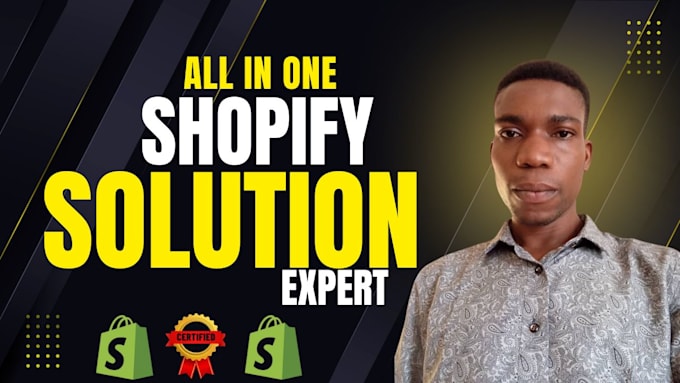 build all in one exceptional shopify dropshipping store website redesign store