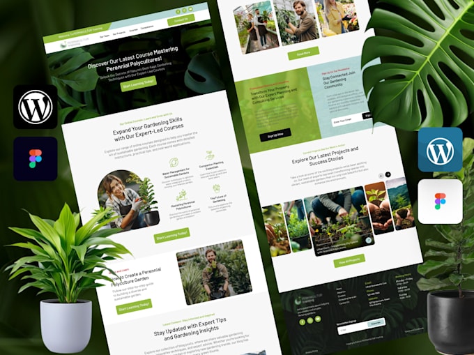 do a luxury wordpress website design and development