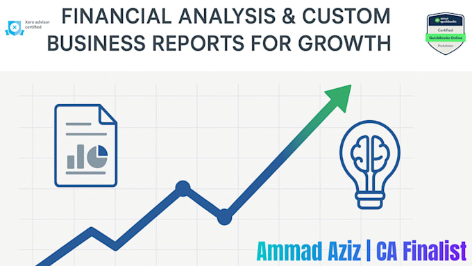 provide financial analysis, custom reports, and business insights