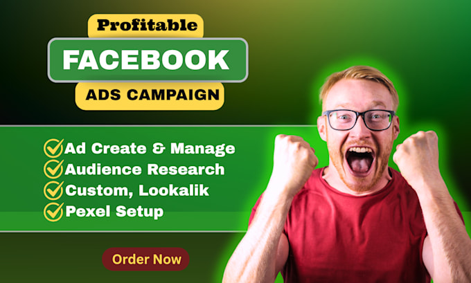 set up facebook ads campaigns to boost your leads and sales