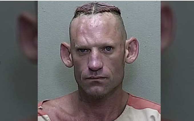 delete unwanted mugshots and negative links