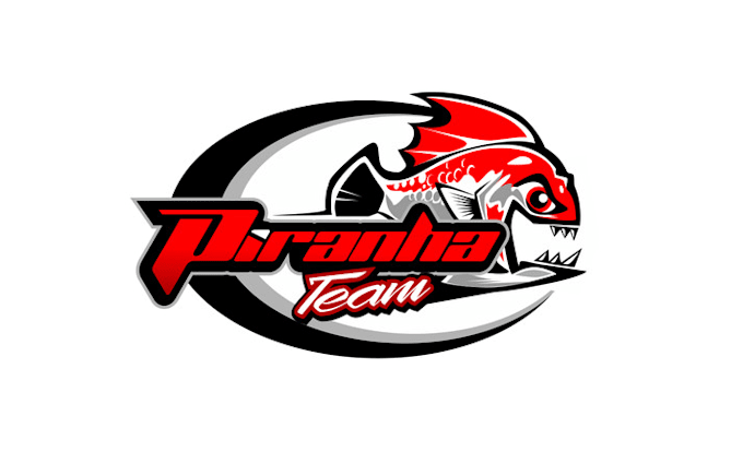 design attractive car racing team logo