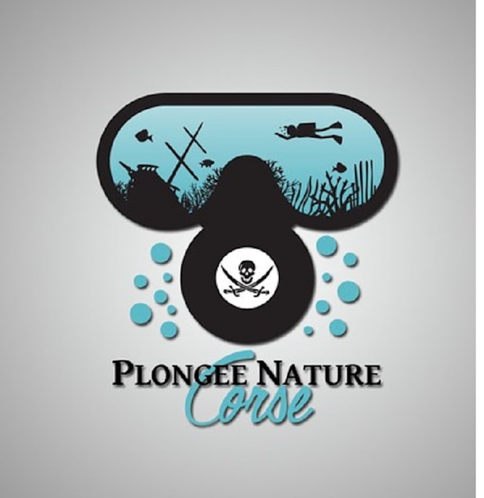 design particular perfect dive service logo