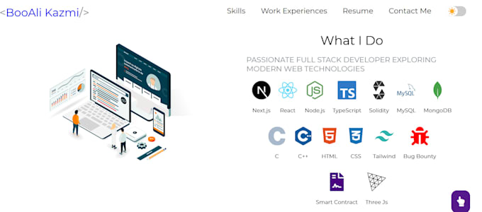 do web development fullstack web developer,blockchain developer ,web 2, web3