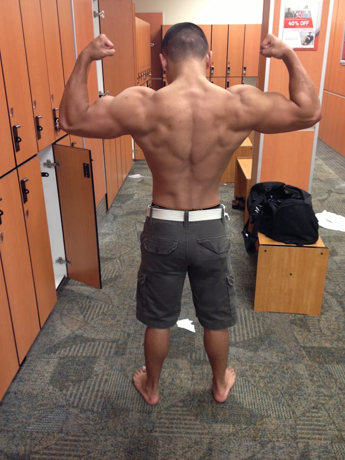 Create a custom diet and training program by Proteinincca Fiverr